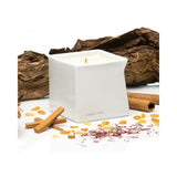 Jimmyjane Natural Massage Oil Candle 4.5 Oz Red Tobacco