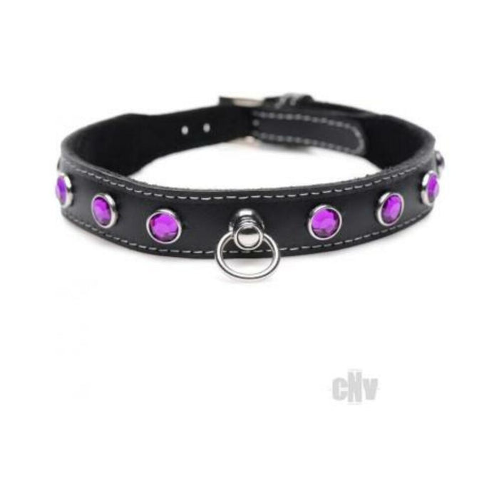 Ms Leather Collar W/rhinestone Purple