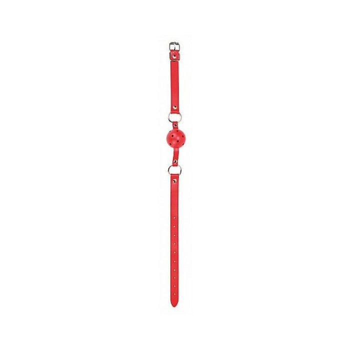 Ball Gag Red