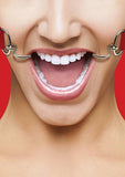 Ouch Hook Gag with Leather Straps O/S