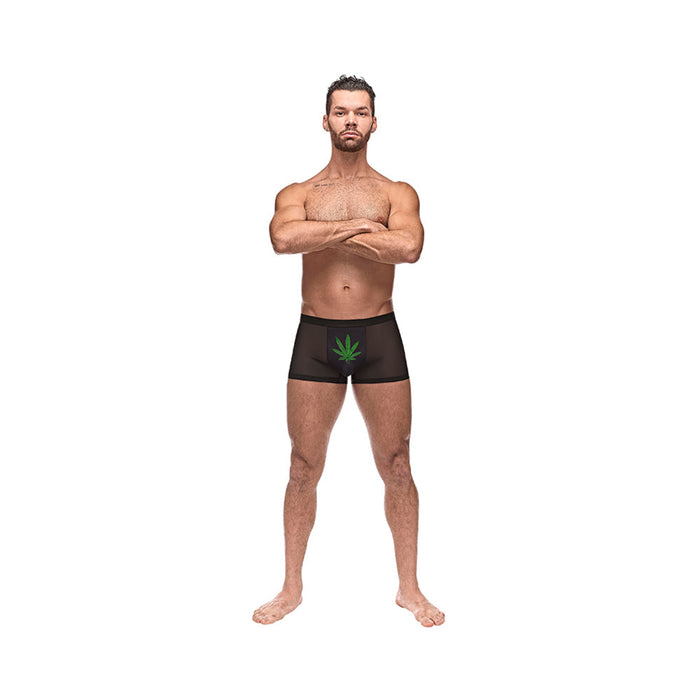 MP Private Screening Short-PotLeaf BK MD