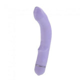 First time flexi rider - purple